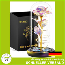 Ewige Rosen Geschenk für