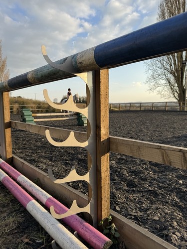 Pferdearena springreiten 100mm - pferdearena,