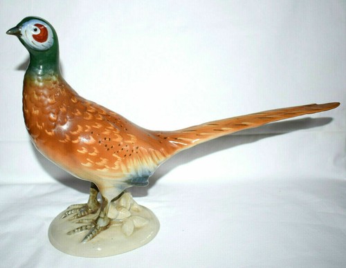 Fasan royal dux - royal, bohemia