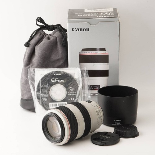 Canon 300mm 6 l - ef,