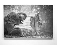 Faszinierende Elefanten Motive