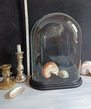 XXL- Glashaube / Glasdom /