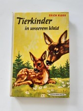 Tierkinder in unserem Wald v