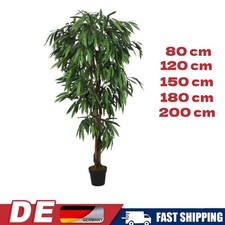 Mangobaum Künstlich