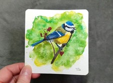 Blaumeise aquarellgemälde - blaumeise,
