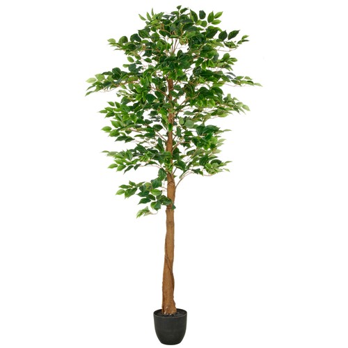 Kunstpflanze ficus benjamina - ficus,