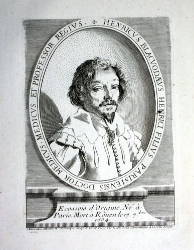 Henricus blacuodaeus - henricus,