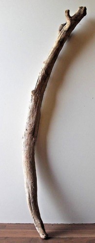 Treibholz schwemmholz xxl - treibholz,