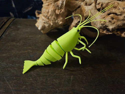 Garnelen pott shrimpys - garnelen-pott, die