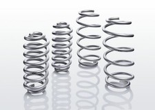 Eibach suspension springs + 25