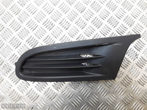 2009 golf kuhlergrill - 2009, vw