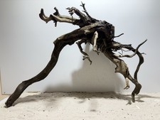 Dunkle Moorwurzel XXXL