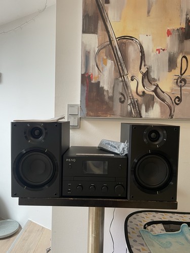 Peaq pms 400 - 400, micro