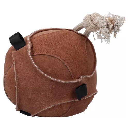 Excellent horse fun play - excellent, ball