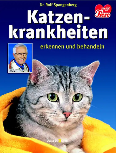 Katzenkrankheiten erkennen und