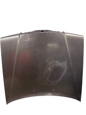 Mercedes W124 230 TE / Mopf 1 / Motorhaube Haube 481 Bornit Metallic