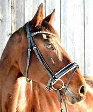 Exklusive Trense schwarz +