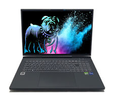 CAPTIVA Highend Gaming I81-522 17,3" QHD+ 240Hz i9-14900HX 32GB 1TB RTX 4090 NEU