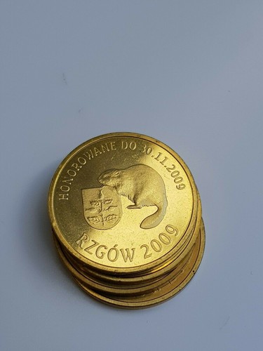 4 partnerki rzgów - ,