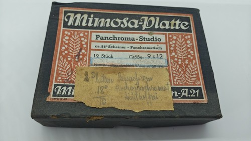 Mimosa platten stück - platten, 12