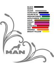 MAN LKW Fensteraufkleber x 2