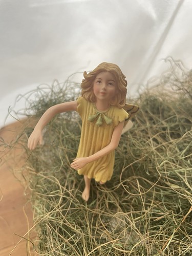 The original flower fairies - original,