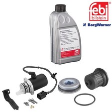 BorgWarner Haldex Kupplung Vorladepumpe Ölfilter + Öl für VW T5 2.5 TDI 4motion