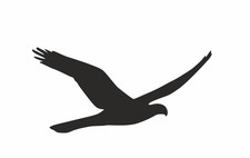 Vogel aufkleber wintergarten - vogel,