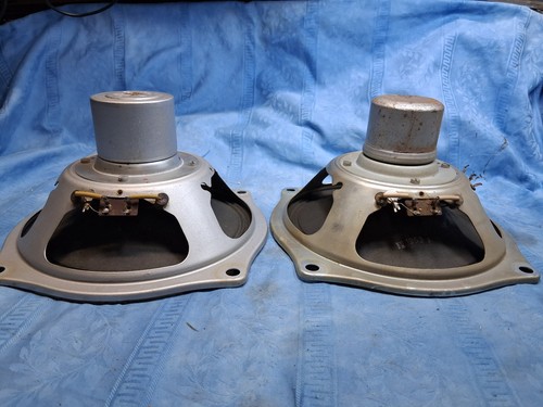 Telefunken 20cm nt alnico - 20cm,