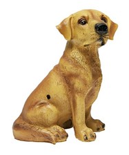 Bewegungsmelder Hund Bello