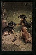 Künstler-AK Carl Reichert: Drei Dackel bei Betrachtung eines Hirschkäfers 