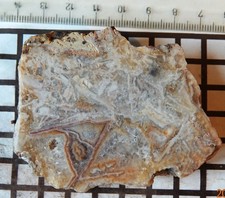 TOP Amethyst-PM mit Drusen DÖBRA OEG Erzgebirge SACHSEN