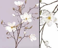 Zweig Deko Magnolien, 4