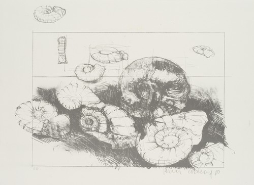 Caspary - caspary, (*1953)