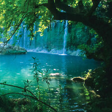 WASSERFALL 3D Tapete Vlies Fototapete Natur Fluss Wald Grün Landschaft Wald 14