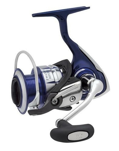 Daiwa freams ltd - ltd., limited