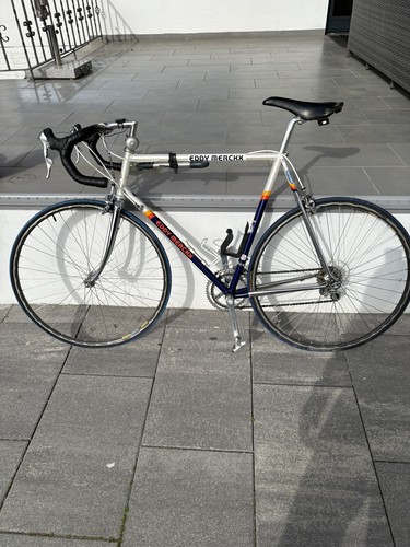 Eddy merckx 10th - eddy,
