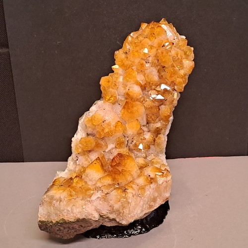 Dekorativer citrin mit - dekorativer,