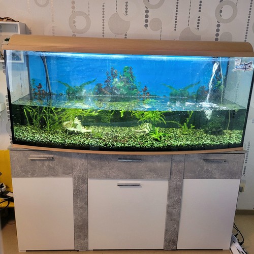 Ein großes aquarium wird - großes,