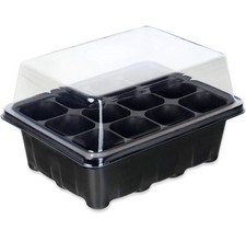 Schramm® 12 Stück Anzucht