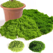 100g Künstliches Moos –