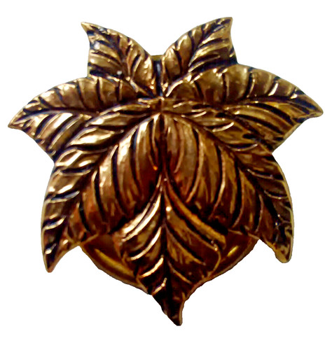 vergoldeter