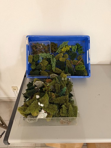 Konvolut bäume set - konvolut,