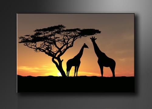 Bilder leinwand afrika auf - ,