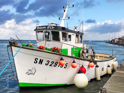 Der trawler goldenes - trawler:, vlies