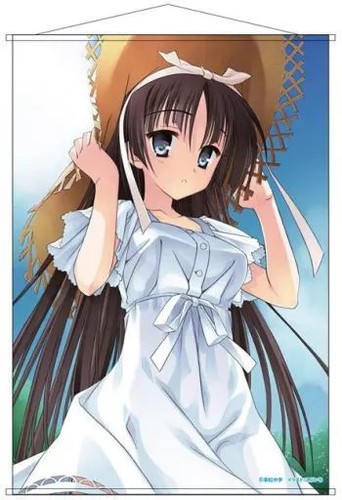 Hoshikaga shirayuki - shirayuki, b2