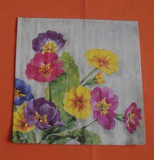 10 lose Servietten Primeln