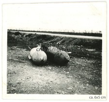 Orig. Foto Legion Condor