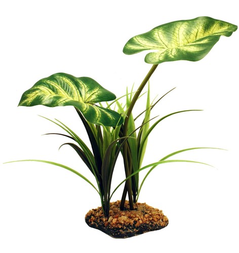 Terrarium vivarium große - terrarium,