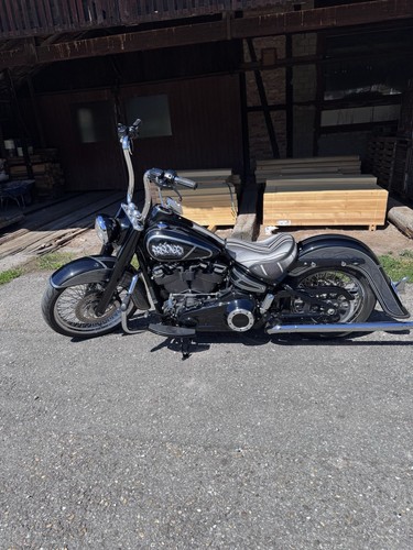 Harley davidson chicano - harley,